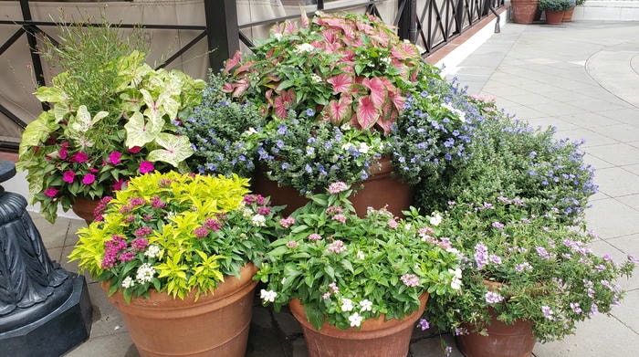 phone pics from florida